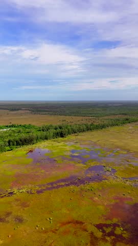 Vertical aerial video big Cypress national preserve Florida Everglades