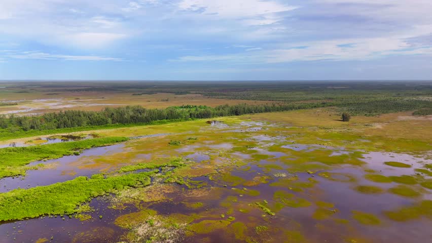 Aerial video Big Cypress National Preserve Florida Everglades 4k 2025 landscape