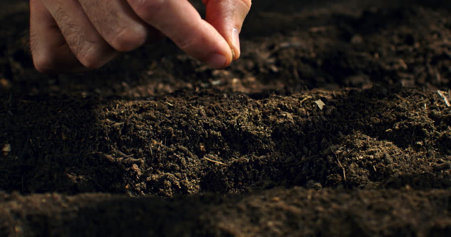 Super Slow Motion Close-Up Of Finger Planting Single Seed In Soil, Organic Farming And Gardening Concept With Earth, Growth, Food Cultivation And Sustainable Agriculture at 1000 fps