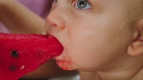 A child enjoys a slice of juicy watermelon, a close-up of a bright red fruit and a rum baby. Side view of a little boy eating watermelon - Powered by Shutterstock - Get 15% off with code: PIKWIZARD15