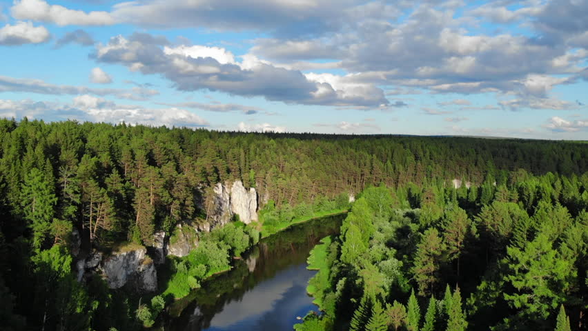 Serene river winding through lush green forest landscape