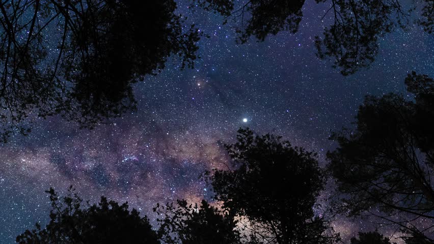 View from earth on Milky Way from forest. Timelapse shot, Earth rotation concept. Camera is zooming in