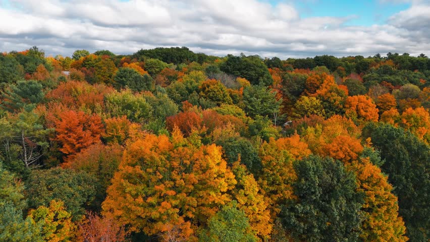 Beauty in Maine: Aerial Views of Fall Foliage in Gray, Maine Video 12