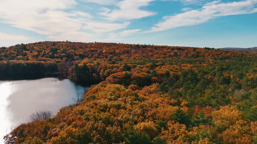 Beauty in Maine: Lily Pond in New Gloucester Maine during peak Fall Foliage Season Video 16