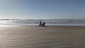 Drone video of mother walking with baby stroller on the beach in Santa Catarina, Brazil - Powered by Shutterstock - Get 15% off with code: PIKWIZARD15