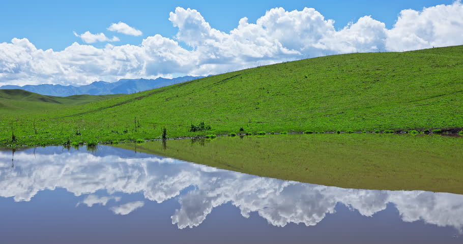 Green grassland and tranquil pond with sky clouds landscape in Xinjiang, China.