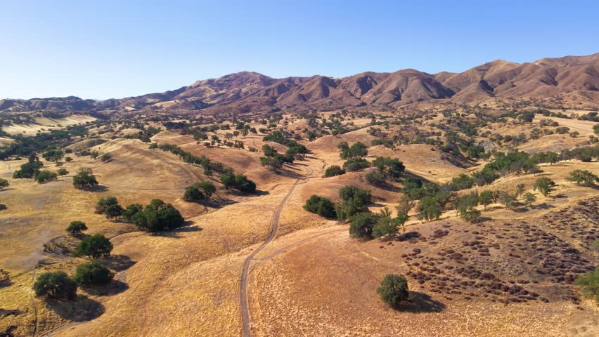 A majestic, panoramic drone shot of the California oak savanna. The camera soars over rolling golden hills dotted with green trees and a winding dirt road.