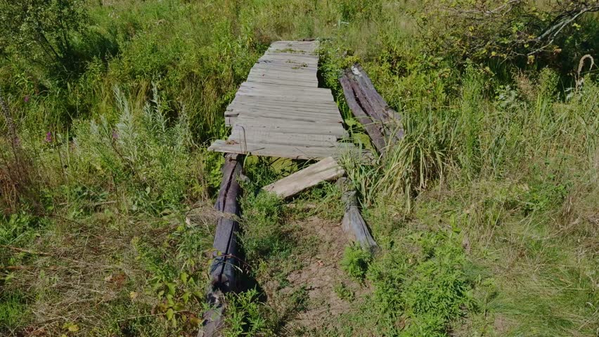 Old Wooden Bridge Crossing Overgrown Wetland. Rustic Pathway Made From Planks Leading Through Marshy Landscape. Wooden Construction. Abandoned Walkway Tranquil Countryside. Nature Resilience Wetland