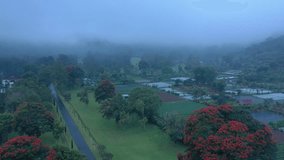 Traditional Balinese split stone gates rising against a lush garden with green lawns, tropical trees, and vibrant red flowers, surrounded by mystical morning mist - Powered by Shutterstock - Get 15% off with code: PIKWIZARD15