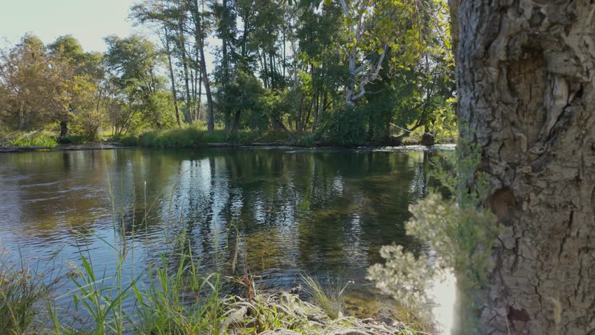 Calm Autumn Scene on the American River near River Bend Park