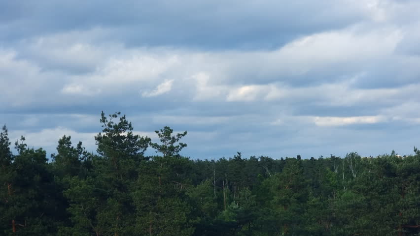 Fast moving white clouds drifting over verdant forest landscape under overcast sky, revealing lush green woodland scenery with expansive natural horizon