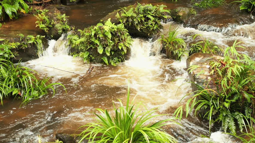 Powerful Raging Mountain River Rapids Flowing Through Rocks in Wild Forest Nature Landscape