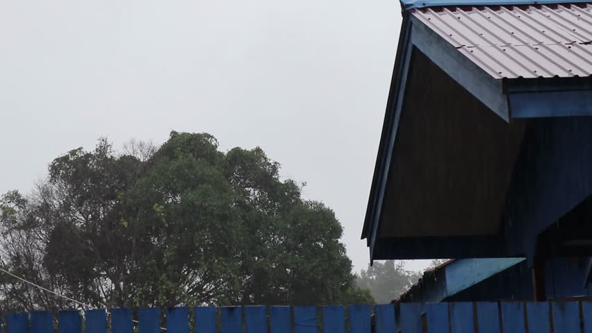 Rainwater falling during the rainy season creates a refreshing atmosphere, nourishing the earth and bringing life to natu