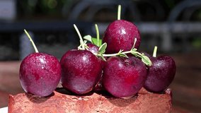 Chocolate ganache tart with fresh cherry. - Powered by Shutterstock - Get 15% off with code: PIKWIZARD15
