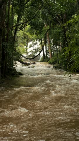 Powerful Raging Mountain River Rapids Flowing Through Rocks in Wild Forest Nature Landscape