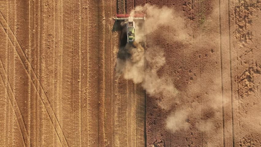 Top aerial view. Agricultural machine harvesting wheat.