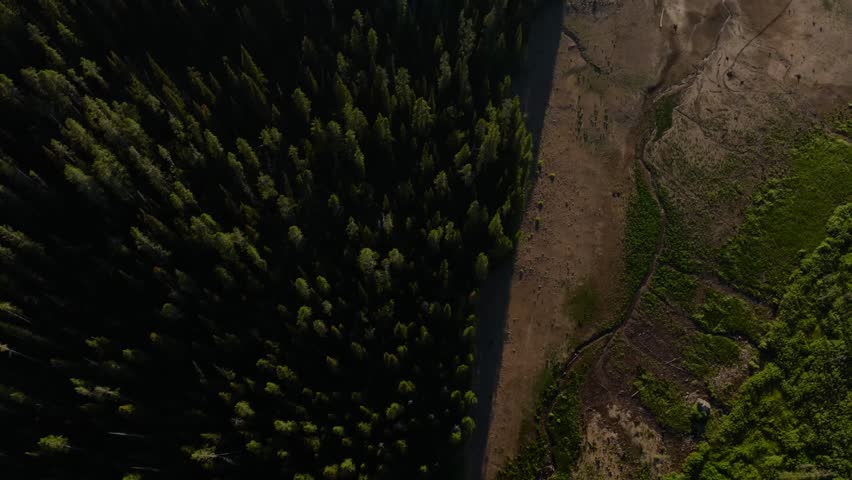 Aerial view of lush forest next to serene grassy lake near Yellowstone