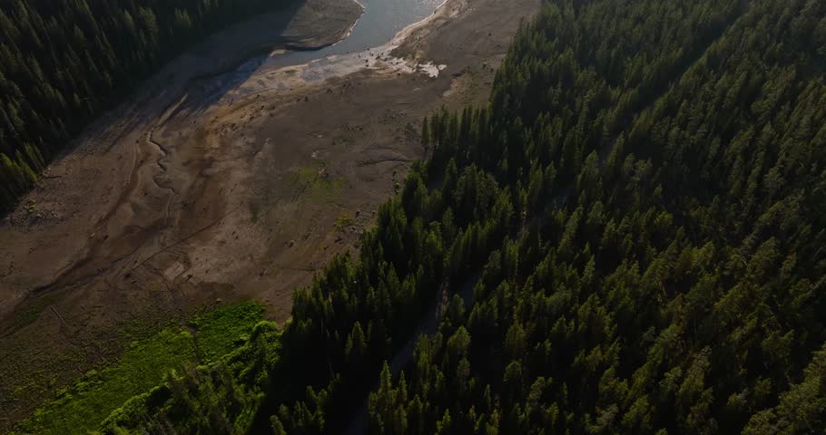 Aerial view of Grassy Lake near Yellowstone, serene forest and water scene