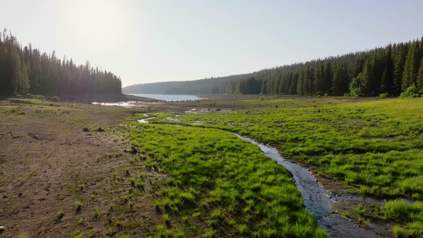 Calming view of grassy lake near Yellowstone in serene nature setting