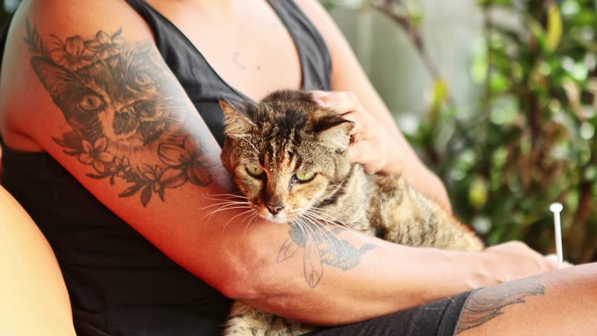 Compassionate pet owner gently stroking European shorthair cat, displaying matching feline tattoo while providing caring professional attention in calm home setting