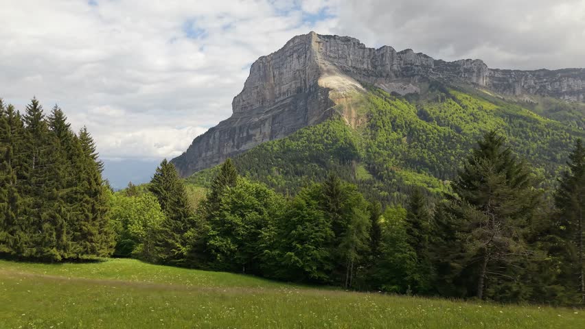 Aerial lateral drone shot with Mont Granier in the background, French Alps, France. Scenic alpine landscape with pine forest, green meadow, blue sky, clouds and panoramic cinematic view.