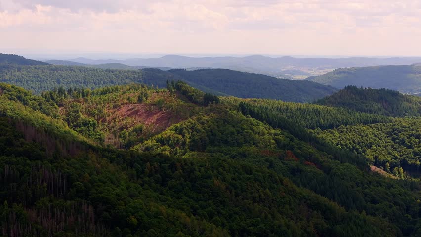 a forest landscape of the german sauerland 4k 25fps video