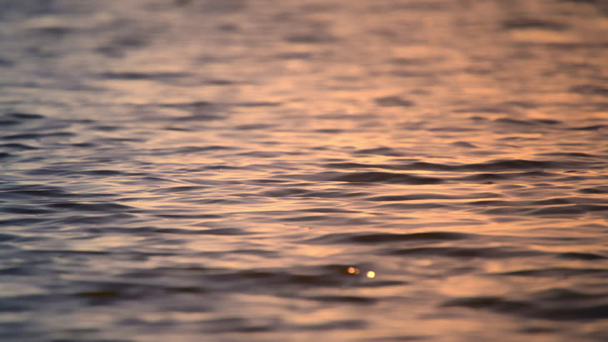 Morning waves on the river at sunrise. High quality 4k footage