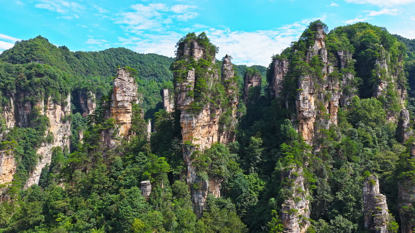 Majestic Zhangjiajie national forest park: towering sandstone pillars emerging from lush green vegetation, Wulingyuan Scenic Area, Hunan Province, China.