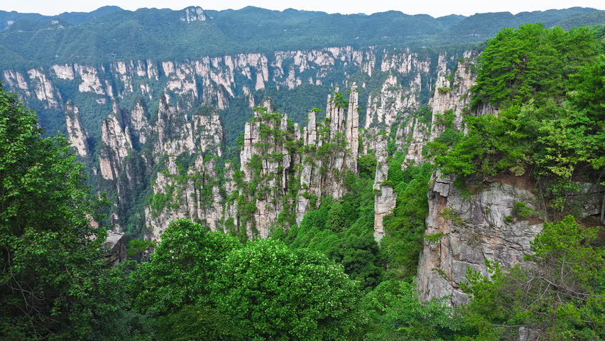 Majestic Zhangjiajie national forest park: towering sandstone pillars emerging from lush green vegetation, Wulingyuan Scenic Area, Hunan Province, China.