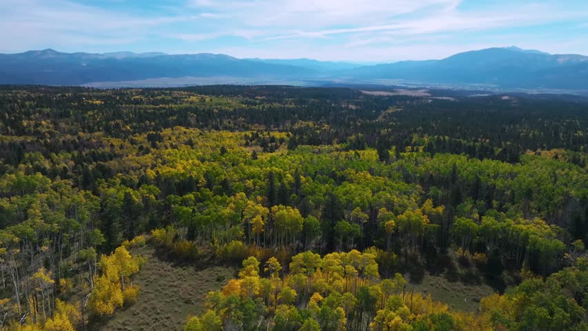 Colorado trail Salida Mt Mount Shavano Tabeguache Peak AWD dirt road camp ground autumn fall morning blue sky aerial drone Colorado aerial drone Aspen Trees forest yellow orange forward pan up
