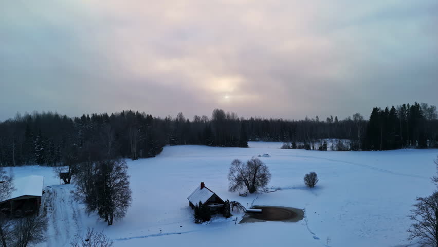 Pale winter sunset over snowy field and trees, cold tones dominate the landscape, aerial ascend establish