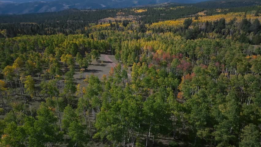 Salida Mt Mount Shavano Tabeguache Peak Colorado trail camp ground autumn fall morning blue sky aerial drone Colorado aerial drone Aspen Trees forest yellow orange AWD dirt road forward pan up