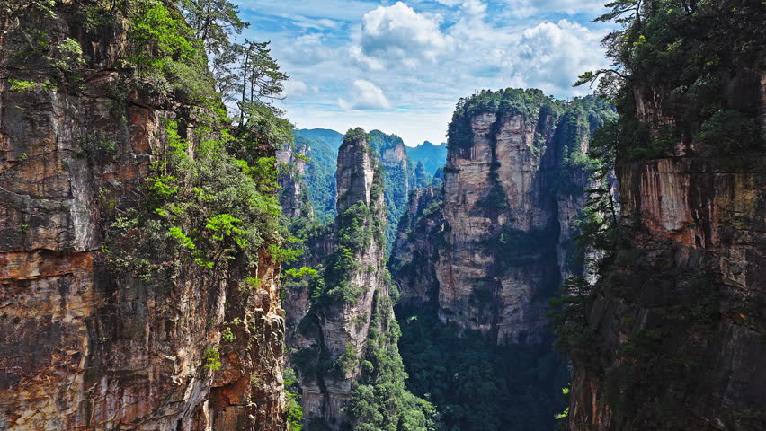 Majestic Zhangjiajie national forest park: towering sandstone pillars emerging from lush green forest, Wulingyuan Scenic Area, Hunan Province, China.