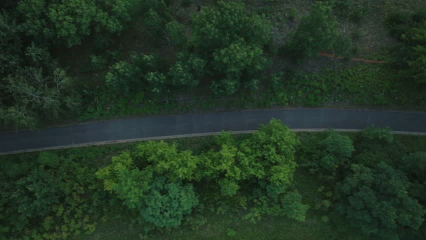 Top View Of Biking Trail Through Forest At Dusk In Saint Croix Falls In Polk County, Wisconsin, United States. Aerial Shot