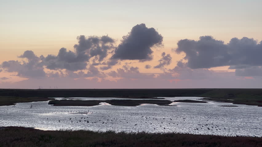 Dramatic sunset over tidal flats with large flock of seabirds and wind turbines on horizon. Golden evening light illuminates cloudy sky above exposed mudflats in Netherlands wetlands.