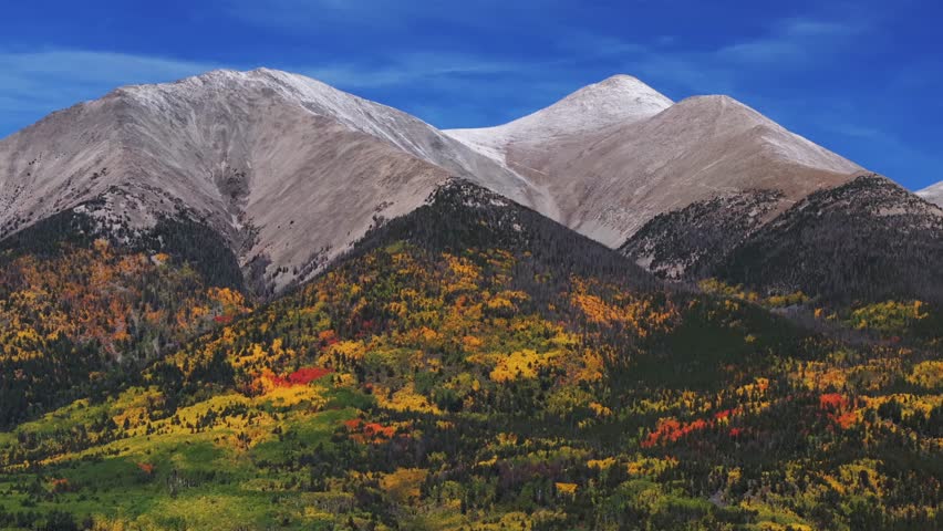 Vibrant crisp autumn fall morning clear blue skies Mt Mount Shavano aerial drone Colorado Trail Tabeguache Peak Aspen Trees yellow orange colors snow dusting Rocky Mountains parallax right motion