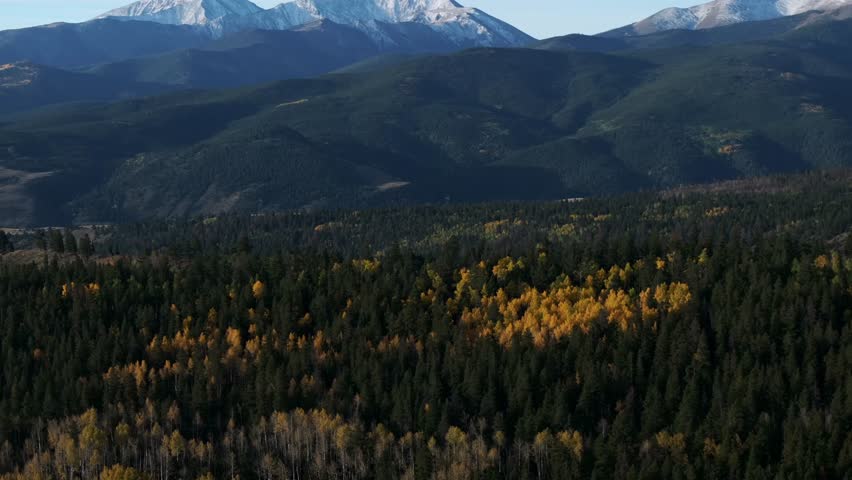 Mount Shavano Trailhead Colorado Trail wilderness Buena Vista Salida Sawatch Range aerial drone autumn fall morning colorful Aspen tree foilage blue sky snow dusted Rocky Mountain peaks forward pan up