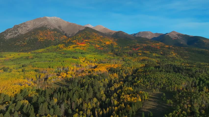 Mt Mount Shavano Tabeguache Peak wilderness Sawatch Range aerial drone Colorado Trail Buena Vista Chaffee County autumn fall morning colorful Aspen trees forest blue sky Rocky Mountains circle right