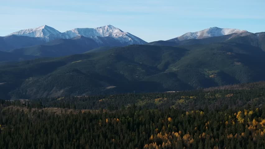 Colorado Trail wilderness Mount Shavano Trailhead Buena Vista Salida Sawatch Range aerial drone autumn fall morning colorful Aspen tree foilage blue sky snow dusted Rocky Mountain peaks forward pan up