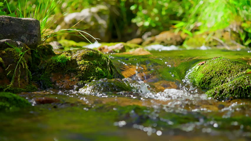 Mountain river on a summer day. High quality 4k footage