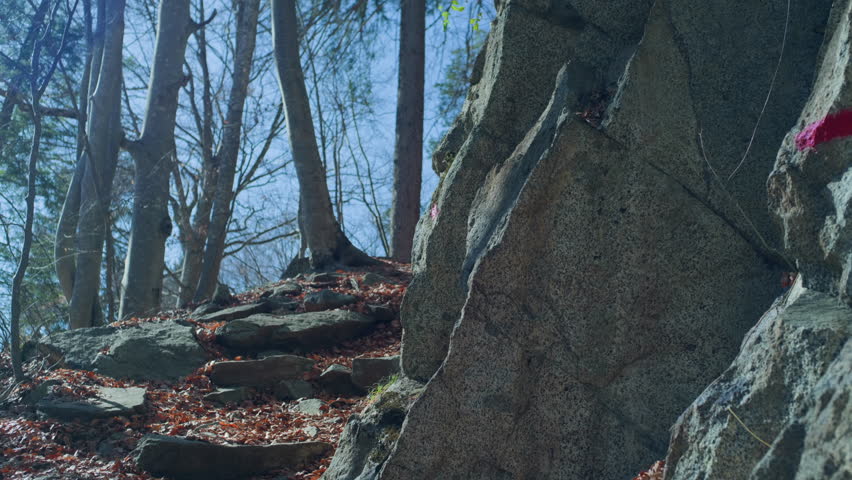 Tripod shot of a female hiker ascending a rocky mountain trail surrounded by trees, with a large rock wall on one side.