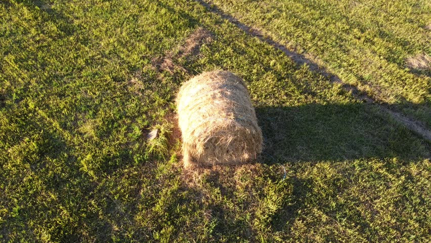 Aerial drone footage circling around a round hay bale on a green meadow and slowly flying away. Scenic rural agricultural landscape with straw bale, trees, and summer countryside.