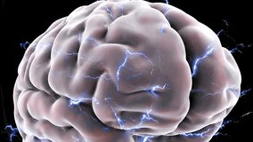 Human nervous system brain and spinal cord medical animation on black 4k uhd video - Powered by Shutterstock - Get 15% off with code: PIKWIZARD15