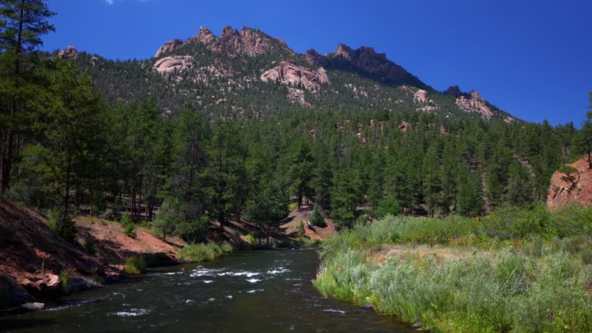 Summer Deckers South Platte River Conifer Pine aerial drone Colorado Trail Foxton North Fork Buffalo Creek Platte Canyon Sheep mountain morning sunny blue sky Pike National Forest upwards