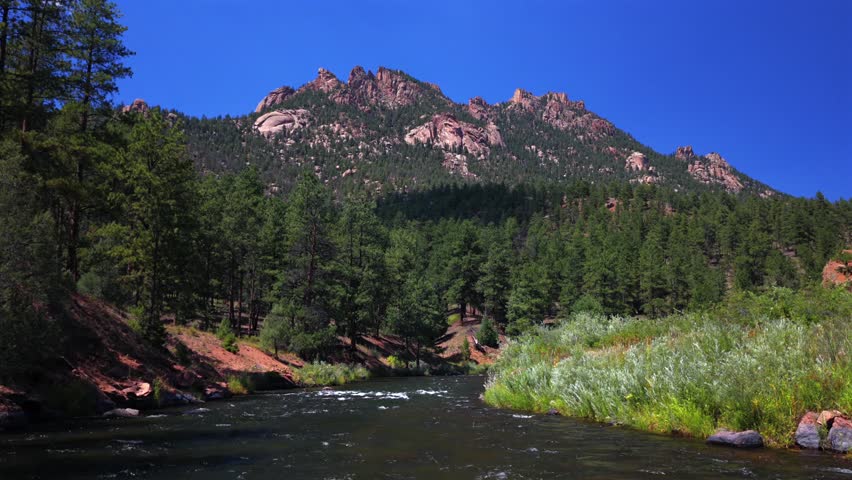 Summer Deckers South Platte River Conifer Pine aerial drone Colorado Trail Foxton North Fork Buffalo Creek Platte Canyon Sheep mountain morning sunny blue sky Pike National Forest upwards