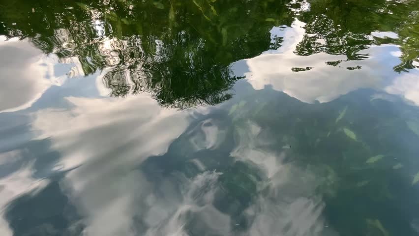 reflection on a lake with lots of algae