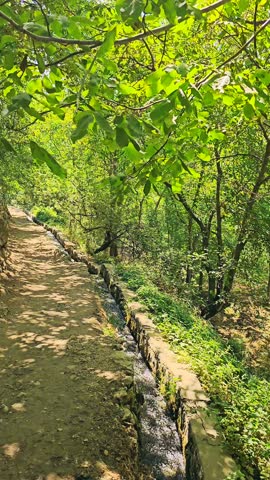 A narrow water stream flows beside a dirt path under tall trees, blending rustic charm with natural tranquility in a peaceful outdoor setting.  
📍Kamalla village, Hawraman Takht 