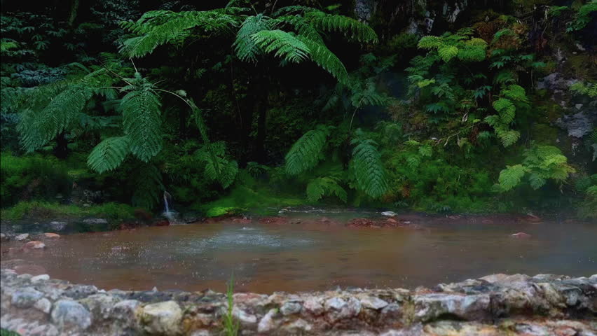 Natural Hot Spring in Green Surroundings, Azores São Miguel