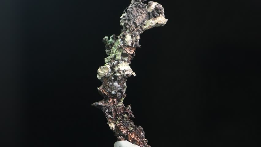 Silver and Copper var. Half-breed
Locality:	Caledonia Mine, Keweenaw Peninsula Copper District, Ontonagon County, Michigan. native silver and reddish-brown metallic native copper