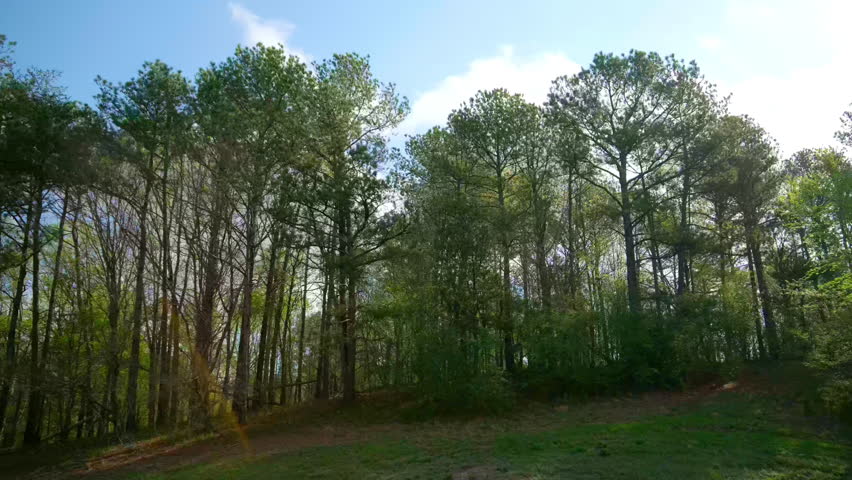 POV view from passenger side in car driving on the highway on bright sunny day. Sun rays come through the bright tree branches
